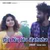 About Dil Nu Hu Rahcha Song